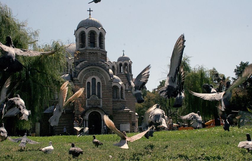 Birdlife stirring in Sofia