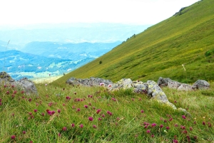 ブルガリア、セルビア、北マケドニアのスパと文化を楽しむ11日間ツアー