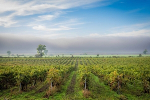 ブルガリア、セルビア、北マケドニアのスパと文化を楽しむ11日間ツアー