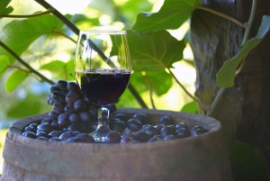 ブルガリア、ギリシャ、ルーマニアの温泉と文化を楽しむ12日間ツアー