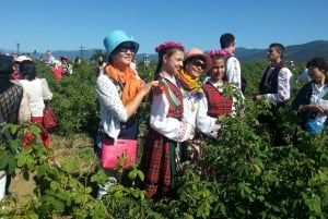 2025 Shared Kazanlak Rose Festival Tour