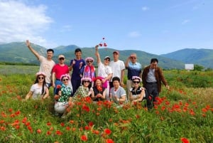 2025 Shared Kazanlak Rose Festival Tour