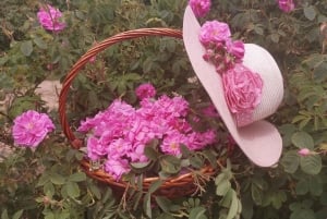 Excursão de grupo ao Festival das Rosas de Kazanlak 2026