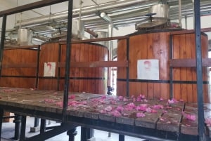 Excursão de grupo ao Festival das Rosas de Kazanlak 2026