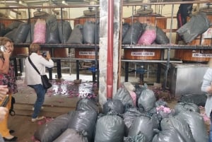 Excursão de grupo ao Festival das Rosas de Kazanlak 2026