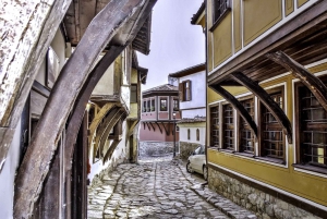Bucharest: 6-Day Central Balkans Guided Tour to Istanbul