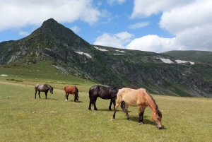 7 Rilasjöarna och Rilaklostret dagstur från Sofia