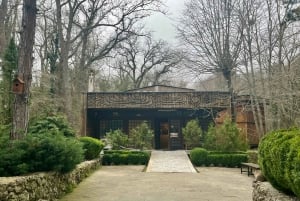 Alaja Rock Monastery Tour from Varna