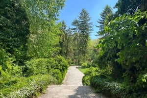 Alaja Rock Monastery Tour from Varna