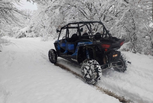 From Smolyan: Private Buggy Ride in Pamporovo Ski Resort