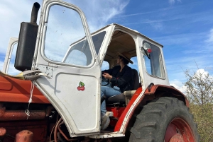 Arbanasi: 40 minutters selvkørende traktoroplevelse