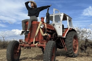 Arbanasi: 40 minutters selvkørende traktoroplevelse