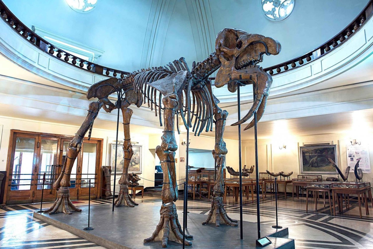 Audio Guide for Museum Paleontology and Historical Geology