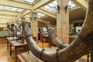 Audio Guide for Museum Paleontology and Historical Geology