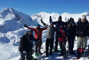Bansko: Easy snowshoeing Pirin National Park & thermal spa