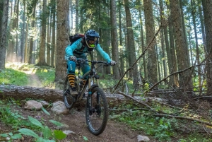 Bansko: Pirin Mountains E-bike Enduro Tour