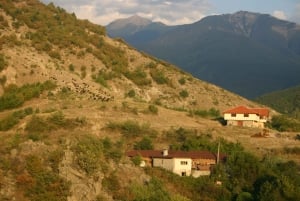 Bansko: Rare Bulgarian Pets Experience