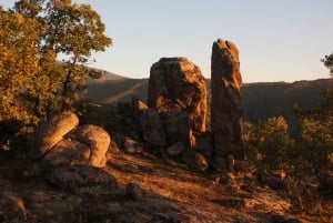 Bansko: Rare Bulgarian Pets Experience