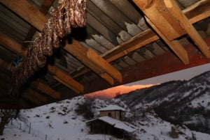 Bansko: Rare Bulgarian Pets Experience