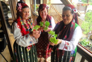 Bansko: Experiencia Folclórica Tradicional