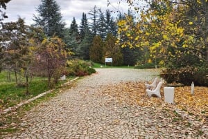 Bells park Sofia, over 100 bells. Guided, pick up drop off