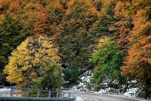 Belogradchik-klippene og Venetsa-grotten - tur i liten gruppe