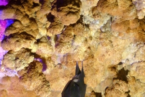 Belogradchik-klippene og Venetsa-grotten - tur i liten gruppe