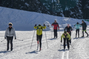 Borovets: 2-Hour Cross Country Ski Taster with Instructor