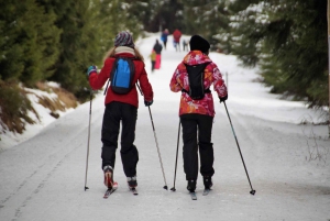 Borovets: 2-Hour Cross Country Ski Taster with Instructor