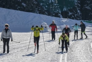 Borowec: 2-godzinny kurs narciarstwa biegowego z instruktorem
