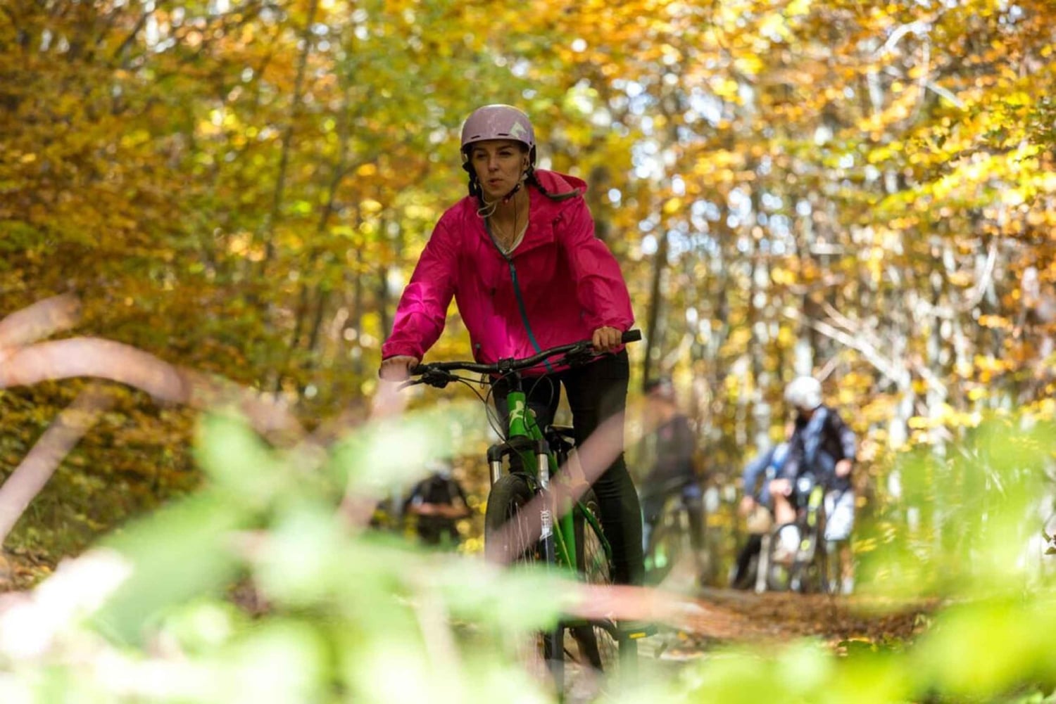 ボロヴェッツ：自転車をレンタルする