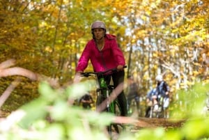 ボロヴェッツ：自転車をレンタルする