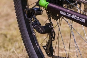 ボロヴェッツ：自転車をレンタルする