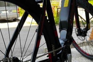 Borovets: E-Bike mieten