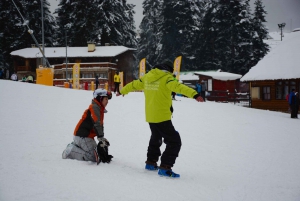 Borovets: Skiing or Snowboarding Group Lesson for All Levels