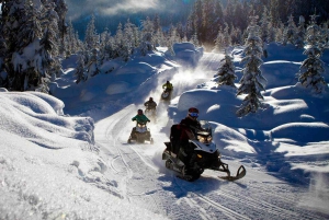 Borovets: Snowmobile Adventure