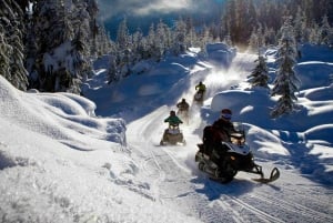 Borovets: Snowmobile Adventure