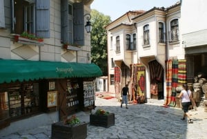 Bukarest: 6-dagars guidad tur till Istanbul på centrala Balkan