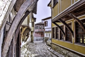 Bucuresti: 6-dagers sentral Balkan guidet tur til Istanbul
