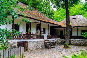 Bucarest: Museo del Villaggio, Palazzo di Ceaușescu e Parlamento