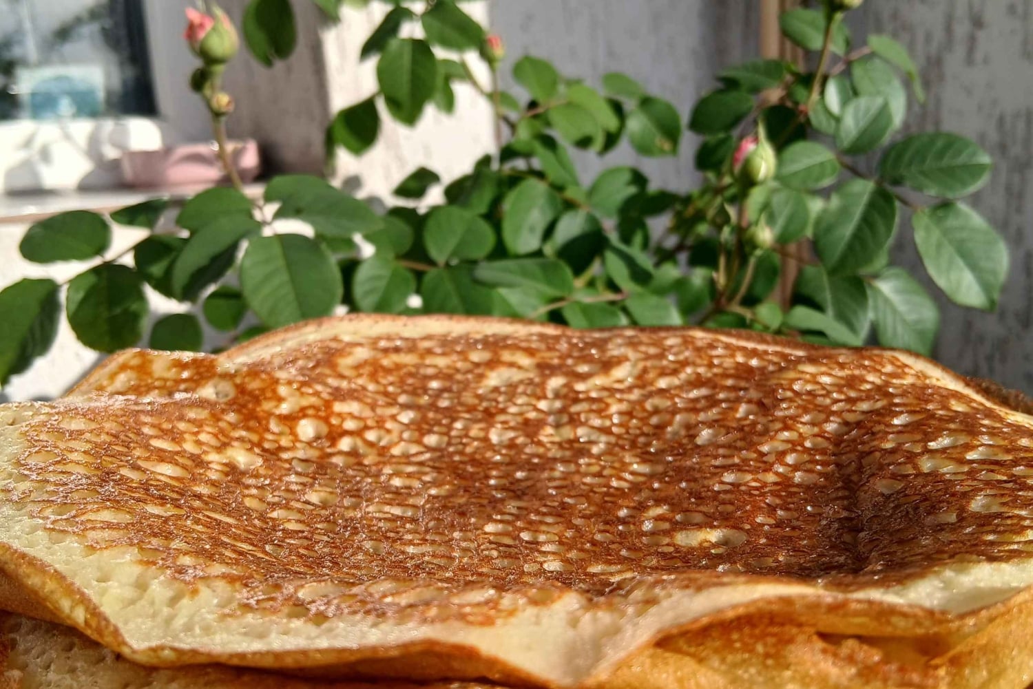 Cooking Class in Sofia: Sourdough Pancakes, Wine & Culture
