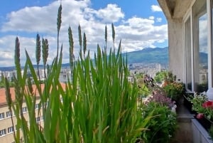 Cooking Class in Sofia: Sourdough Pancakes, Wine & Culture