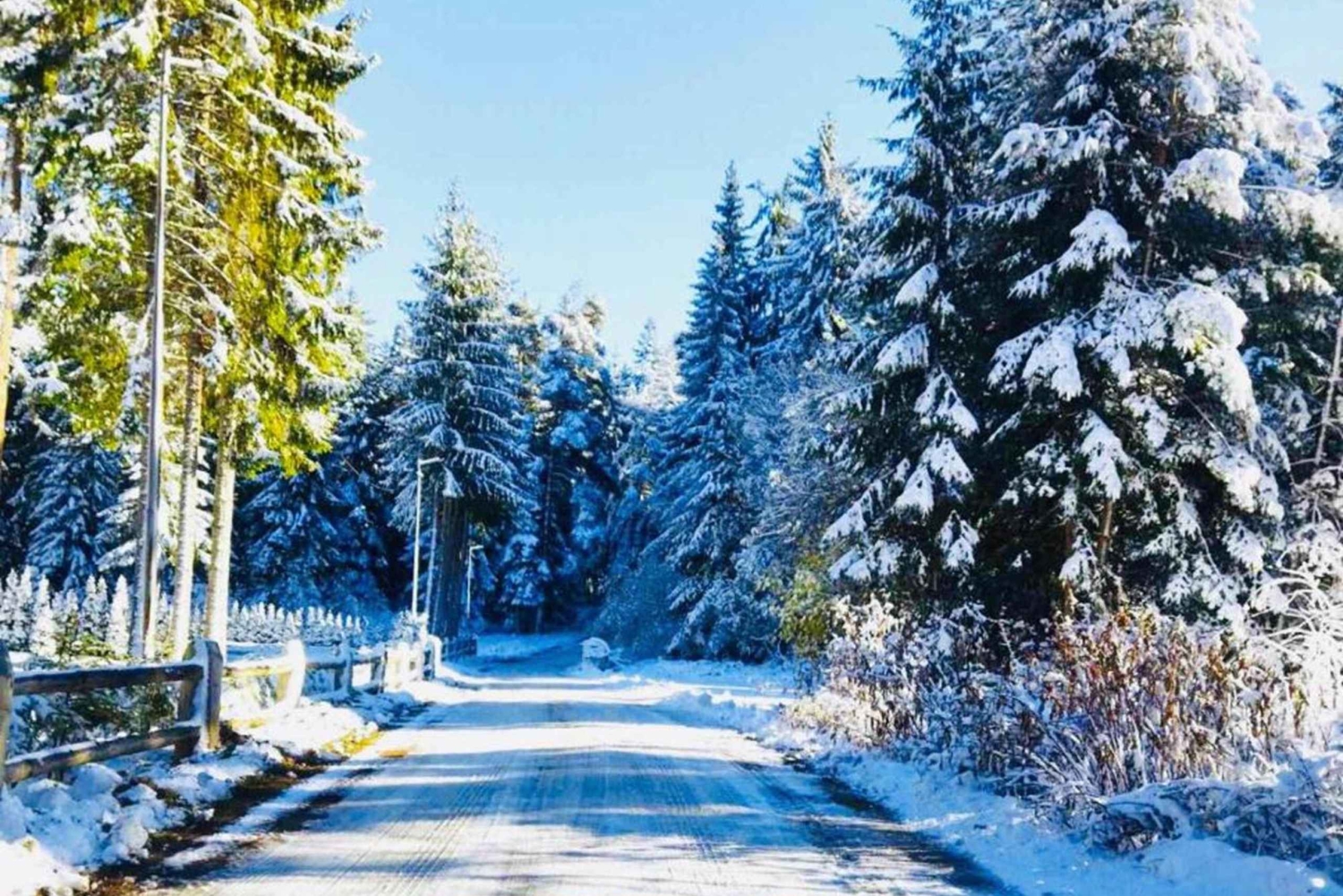 Päiväretki: Borovetsin hiihto ja rentoutuminen lämpöaltaissa ja saunassa.