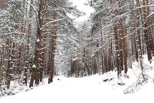 Päiväretki: Borovetsin hiihto ja rentoutuminen lämpöaltaissa ja saunassa.