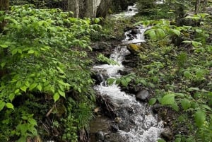 Tagestour: Rila-Kloster & Ivan Rilski-Höhle – Kleine Gruppe