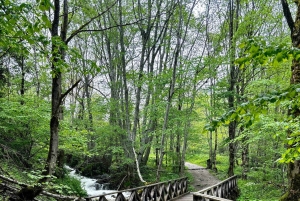 Tagestour: Rila-Kloster & Ivan Rilski-Höhle – Kleine Gruppe