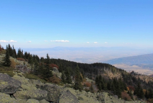 Day Trip to Vitosha, Boyana Church and Dragalevtsi Monastery
