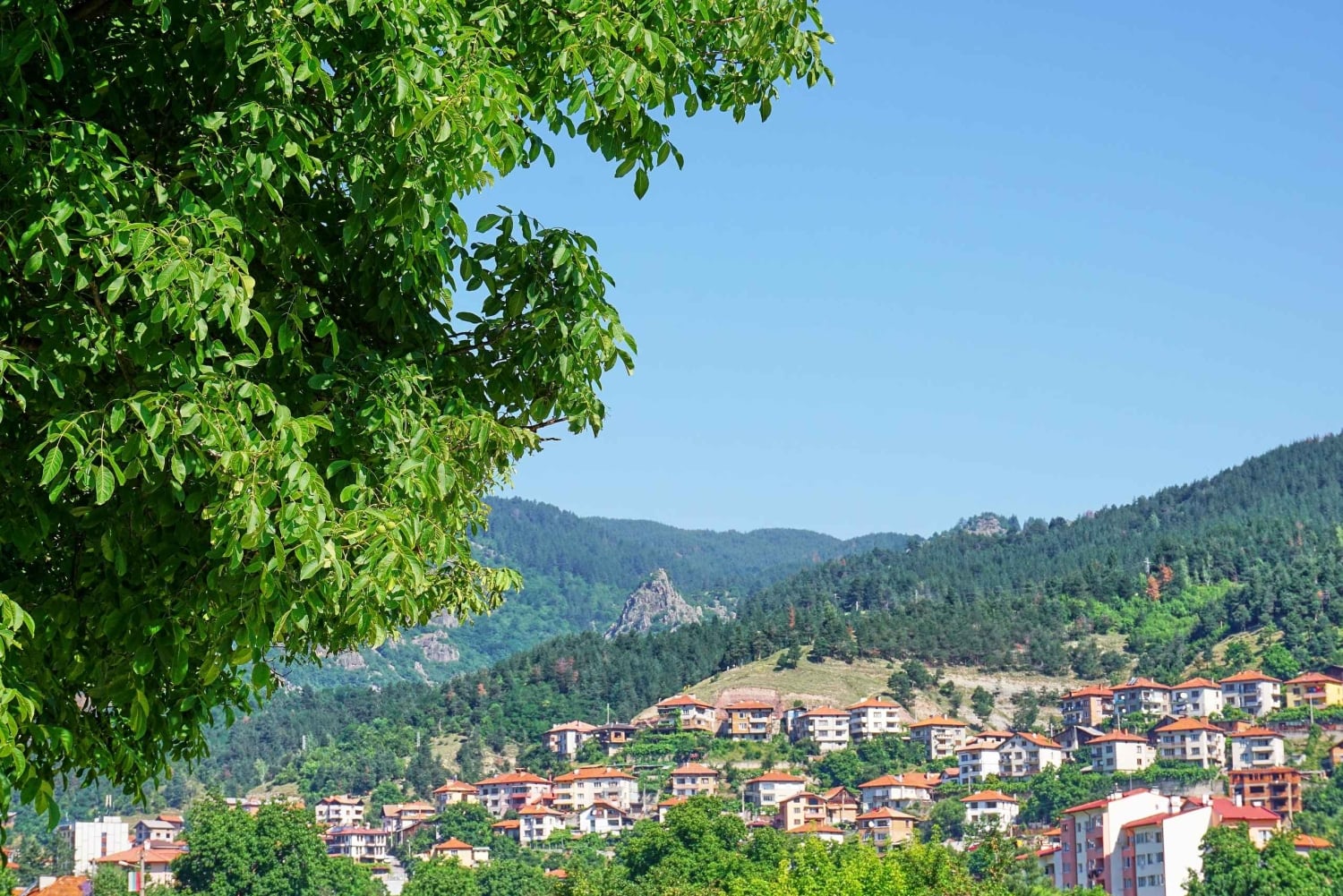 Devin Spa & Rhodope Mountains: 9-Day Wellness & Nature Tour