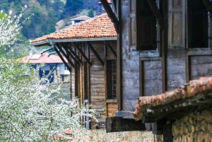 Discover Bulgaria Full-Day Guided Tour from Bucharest