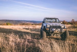 オフロードジープダイハツまたはスマート・フォー・トゥーを運転してください！